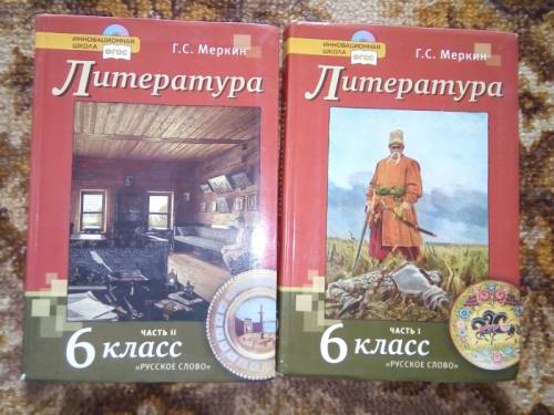 Продам литературу 6 класс две части
