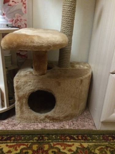 Продам дом для котиков