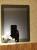  Apple iPad 2 16Gb