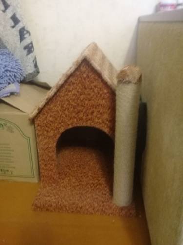 Домик для кота