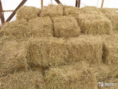 продам солому в тюках