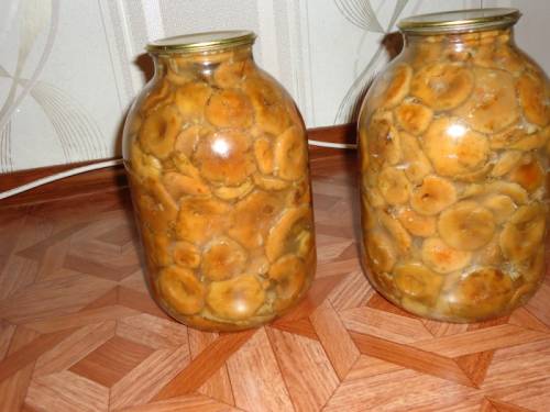 Грибы маринованные рыжики