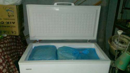 Продам кукурузу в зернах 