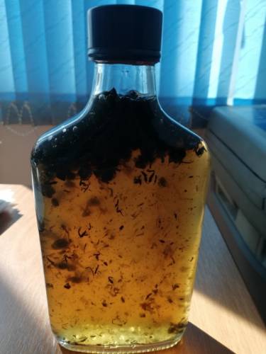Продам пчелиный подмор кемерово