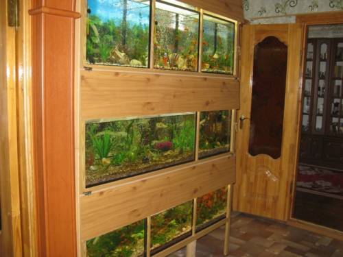 Стеллаж из 8 аквариумов