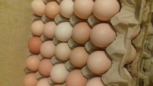 Яйцо куриное домашнее