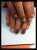 Shellac