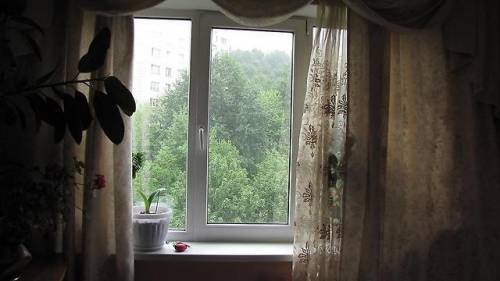 Ремонт окон всех видов