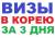 Визы в Южную Корею за 3-4 дня! Паспорт и фото!