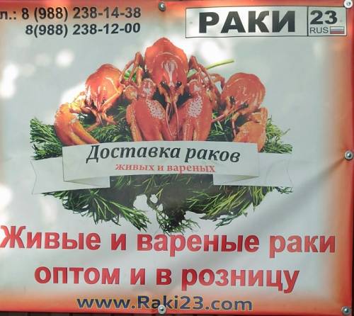 Раки и крабы живые и вареные