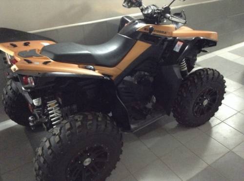 Cectek Kingcobra 550, 44л/с