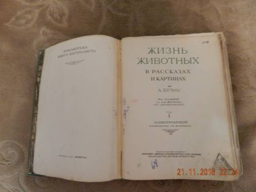 Брэм. Жизнь животных